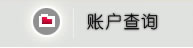 帐户查询