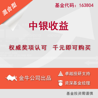 收入证明_收入基金(2)